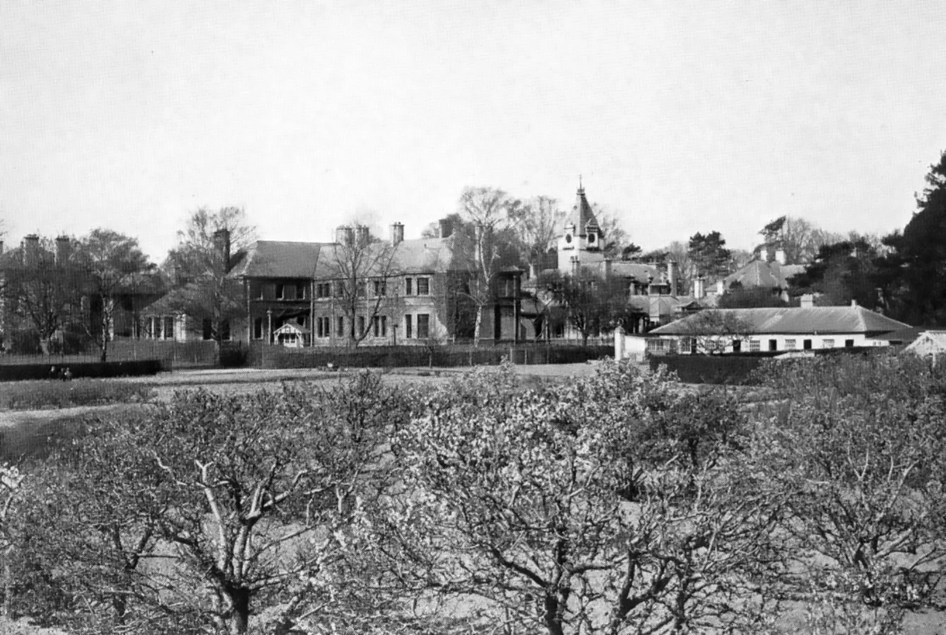View of the Warneford from the orchard, which used to be tended by patients (1938). Apples were stored in the Apple House, a building now used for speech therapy.