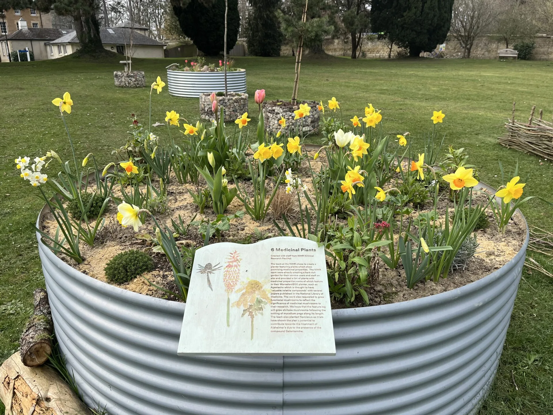 Images showing a selection of artwork created by Oxford Brookes University students.