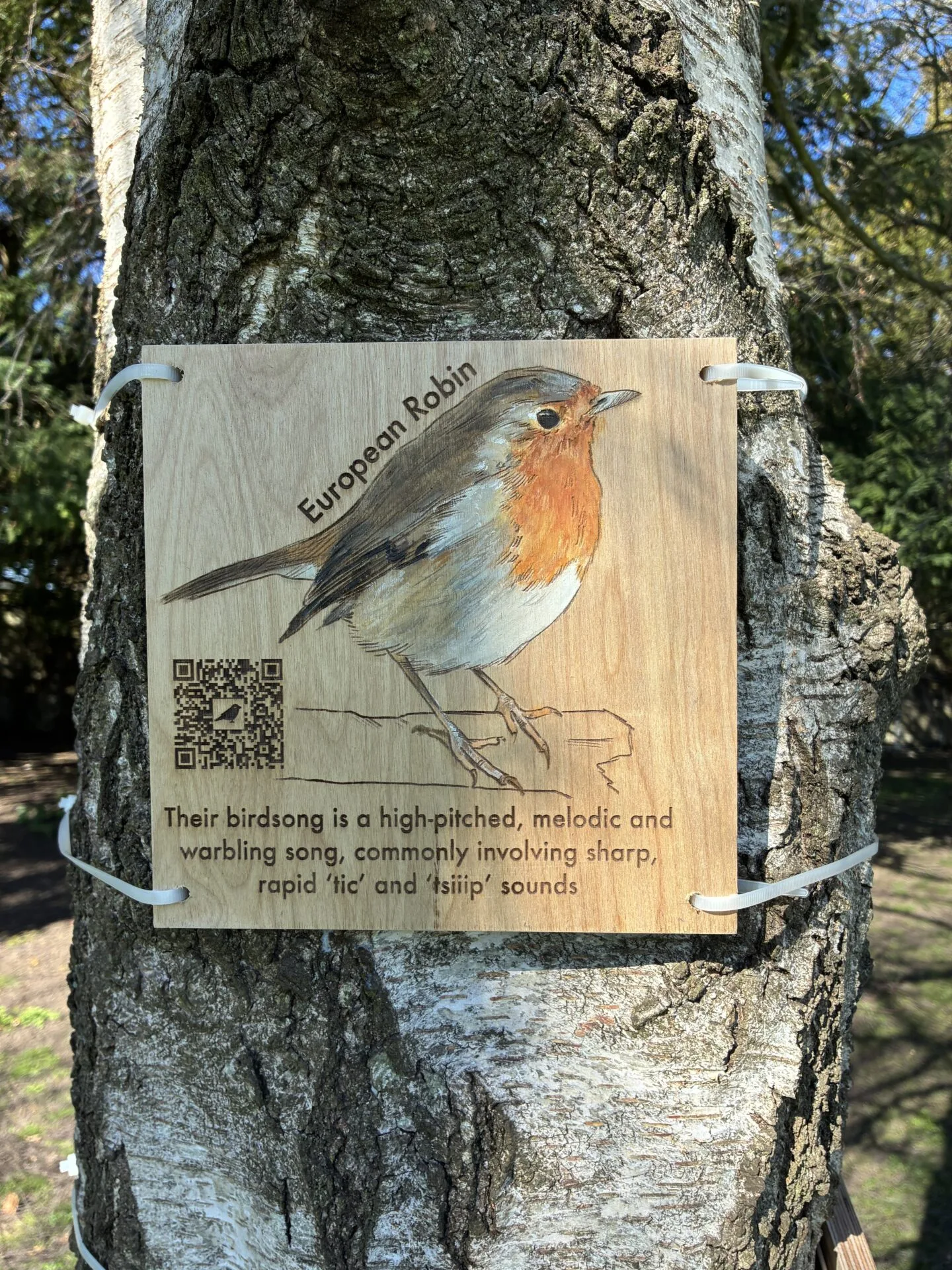 Images showing a selection of artwork created by Oxford Brookes University students.